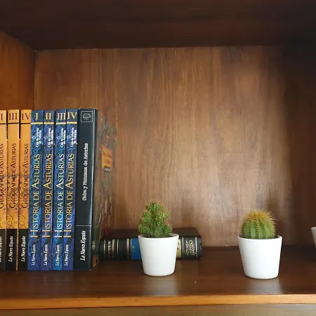 شقة Ca Gueilu - Centro, Parking Y Wifi اوفيدو